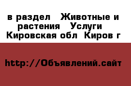  в раздел : Животные и растения » Услуги . Кировская обл.,Киров г.